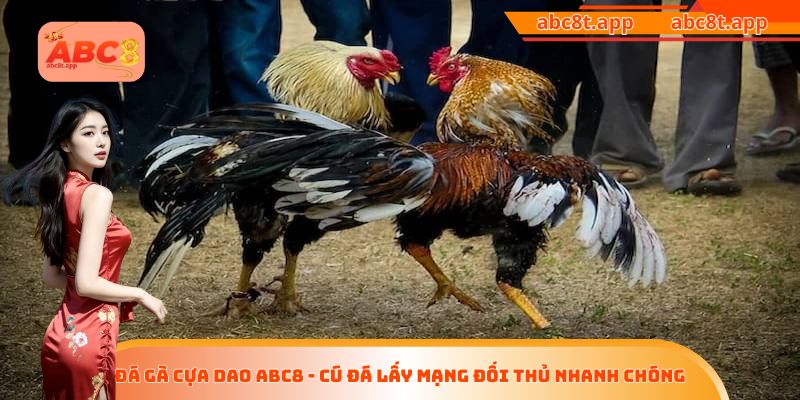 đá gà cựa dao