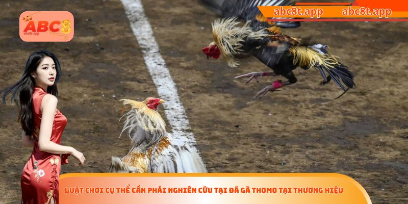 Luật chơi cụ thể cần phải nghiên cứu tại đá gà Thomo tại thương hiệu